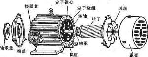 振動電機損壞的常見原因有哪些？